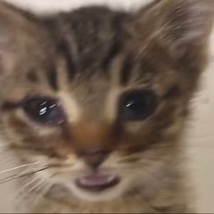 Meet your Posher, Rylee